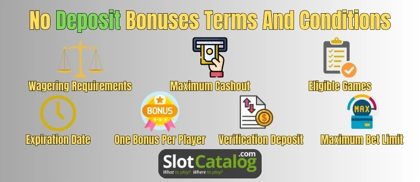 Terms And Conditions Terms And Conditions